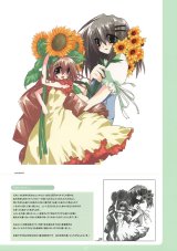 BUY NEW tori koro - 175347 Premium Anime Print Poster